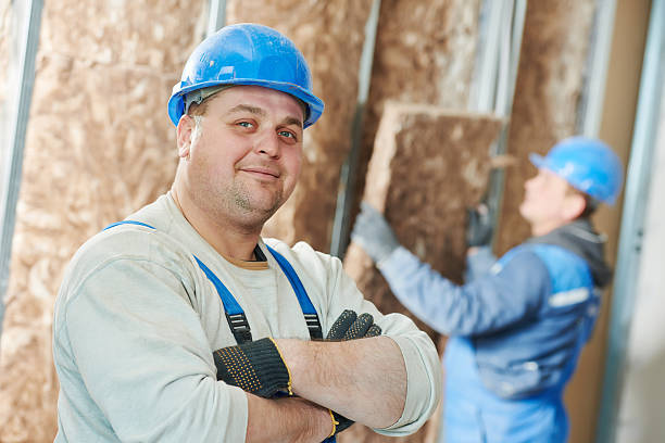 Best Insulation Removal  in Independence, KS
